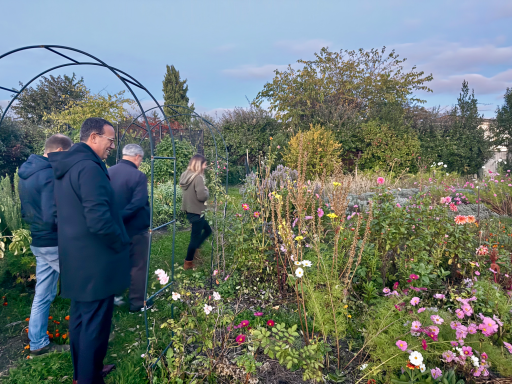 Visite du jardin de Lili du Bleuet
